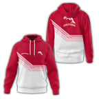 Dolphins Hoodie SC106