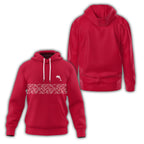 Dolphins Hoodie SC104
