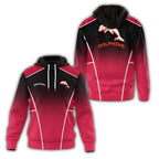 Dolphins Hoodie SC019